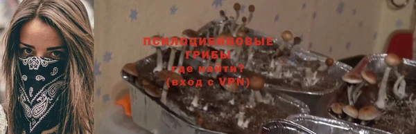 mdpv Нижний Тагил