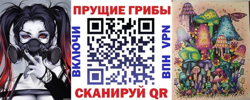 Псилоцибиновые грибы Psilocybe  Новая Усмань 